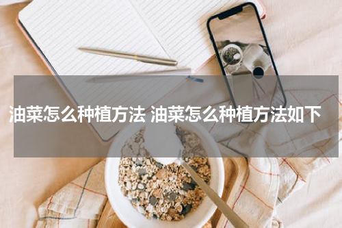 油菜怎么种植方法 油菜怎么种植方法如下