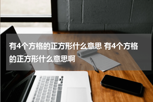 有4个方格的正方形什么意思 有4个方格的正方形什么意思啊