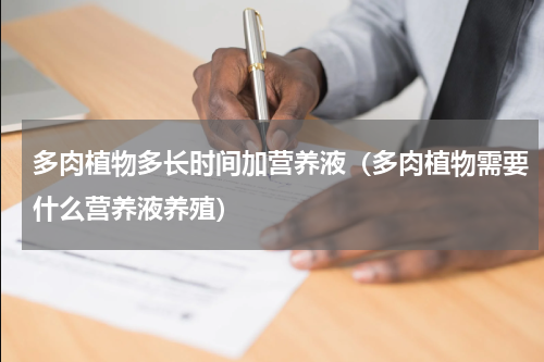 多肉植物多长时间加营养液(多肉植物需要什么营养液养殖)