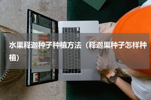 水果释迦种子种植方法（释迦果种子怎样种植）