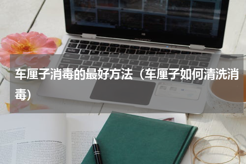 车厘子消毒的最好方法(车厘子如何清洗消毒)