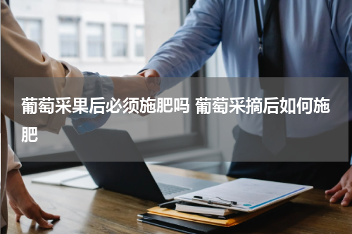 葡萄采果后必须施肥吗 葡萄采摘后如何施肥