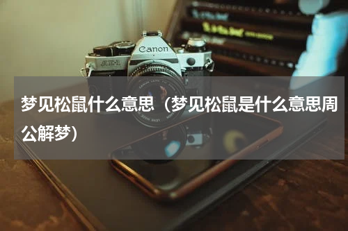 梦见松鼠什么意思(梦见松鼠是什么意思周公解梦)