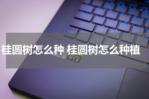 桂圆树怎么种 桂圆树怎么种植