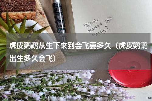 虎皮鹦鹉从生下来到会飞要多久（虎皮鹦鹉出生多久会飞）