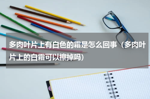 多肉叶片上有白色的霜是怎么回事（多肉叶片上的白霜可以擦掉吗）
