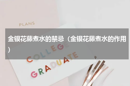 金银花藤煮水的禁忌（金银花藤煮水的作用）