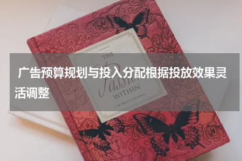  广告预算规划与投入分配根据投放效果灵活调整