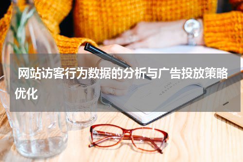  网站访客行为数据的分析与广告投放策略优化