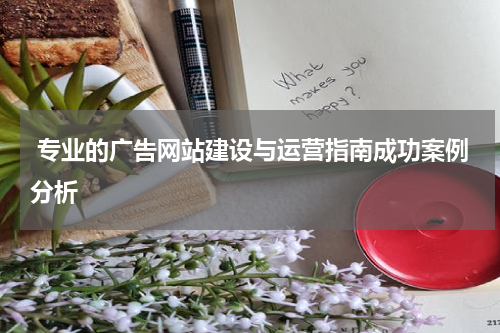  专业的广告网站建设与运营指南成功案例分析