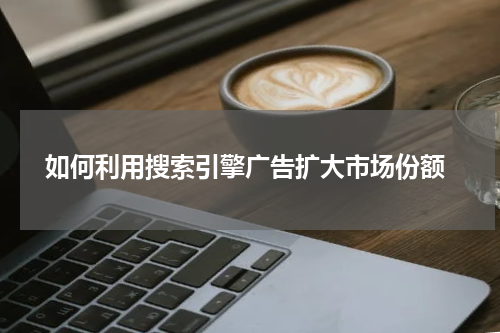  如何利用搜索引擎广告扩大市场份额