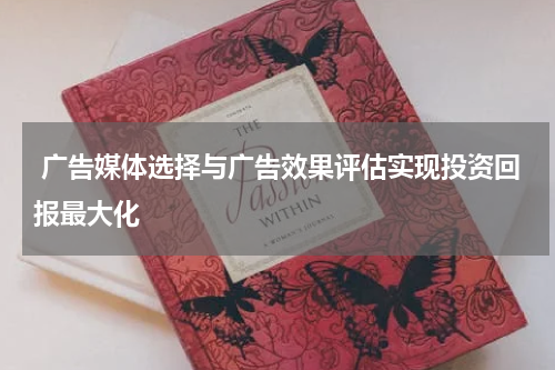 广告媒体选择与广告效果评估实现投资回报最大化