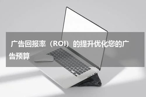 广告回报率(ROI)的提升优化您的广告预算