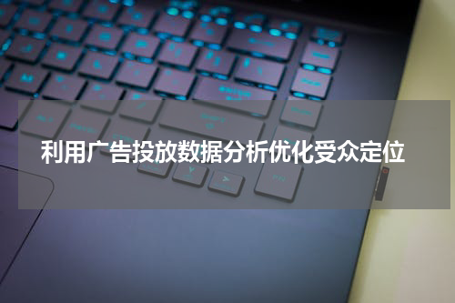  利用广告投放数据分析优化受众定位