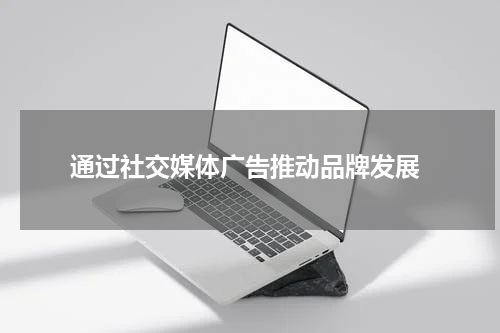 通过社交媒体广告推动品牌发展